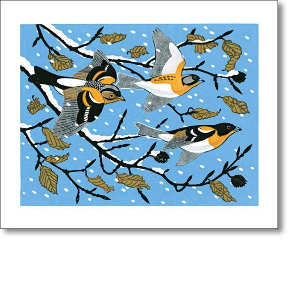 Greetings card 'Beech & Bramblings' by Robert Gillmor