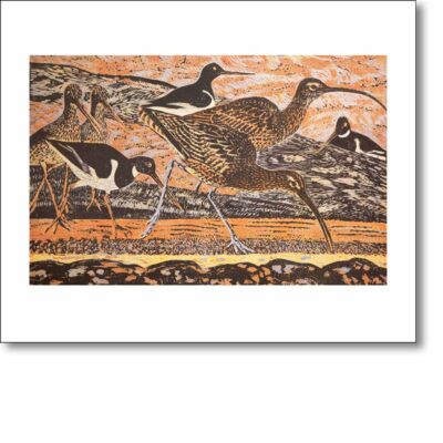 Greetings card 'Curlew and Oystercatchers' by James T.A. Osborne