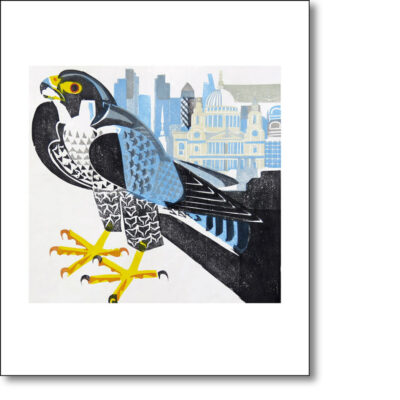 Greetings card 'Peregrine' by Matt Underwood