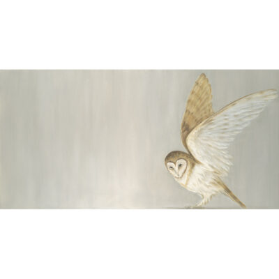 Limited Edition Giclee Print 'Barn Owl Alighting' by Bella Bigsby