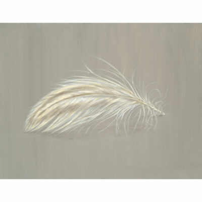 Limited Edition Giclee Print 'Downy Feather' by Bella Bigsby