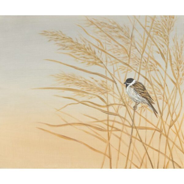 Limited Edition Giclee Print 'Reed Bunting' by Bella Bigsby