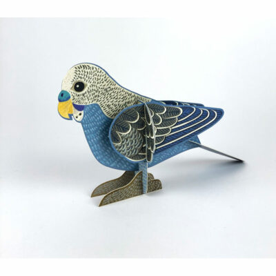 Pop-out 'Budgie' by Alice Melvin