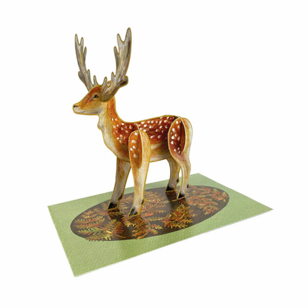 Display of pop-out 'Deer' by Alice Melvin