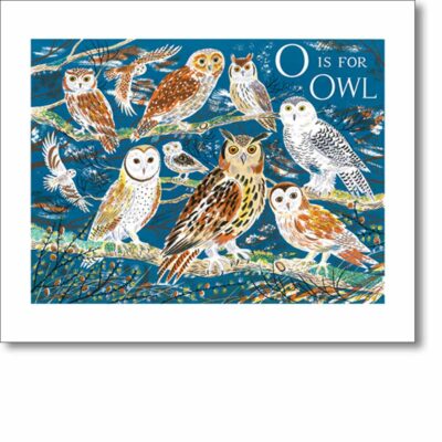 Greetings card 'O is for Owl' by Emily Sutton