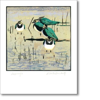 Greetings card 'Lapwings' by Robert Greenhalf