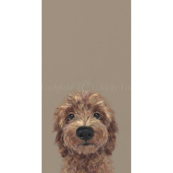 Limited Edition Print 'Choose Me' by Nicky Litchfield