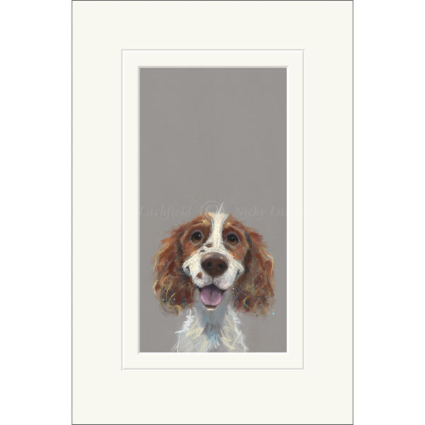 Limited Edition Print 'Happy Go Lucky' (mounted) by Nicky Litchfield