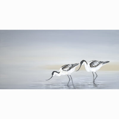 Limited Edition Giclee Print 'Avocets' by Bella Bigsby