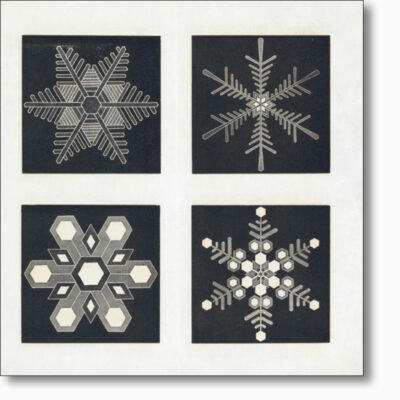 Christmas Card of 'Snow crystals' by Cecilia Glaisher