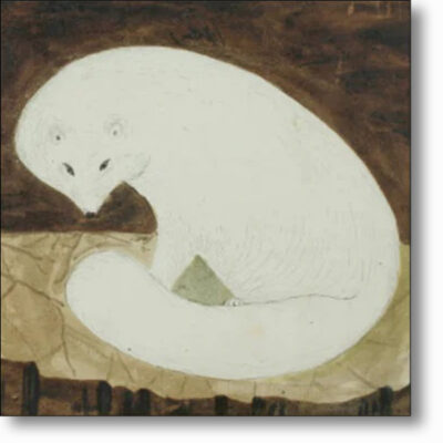 Christmas Card of 'Arctic Fox' by Sir John Ross