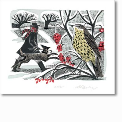 Greetings card 'Winter Thrush' by Angela Harding