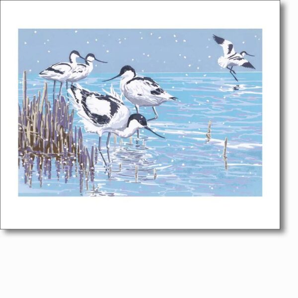 Greetings card 'Winter Avocets' by Lizzie Perkins