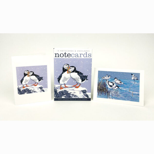 Note card pack of 'Snowy Puffins & Winter Avocets' by Lizzie Perkins