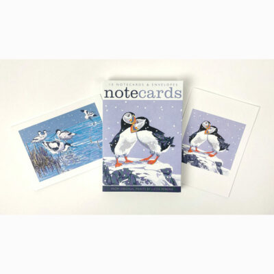 Note card pack of 'Snowy Puffins & Winter Avocets' by Lizzie Perkins