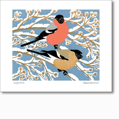 Greetings card 'Bullfinches' by Robert Gillmor