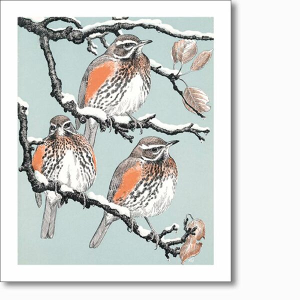 Greetings card 'Redwings' by Robert Gillmor