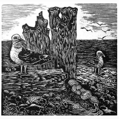 Wood Engraving 'Seagulls on the beach' by Lyn May