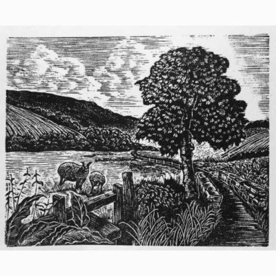Wood Engraving 'Spring on the South Downs' by Lyn May