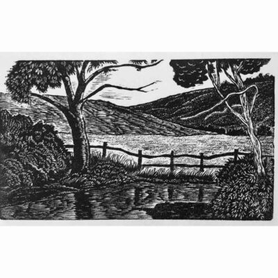 Wood Engraving 'Stedham' by Lyn May