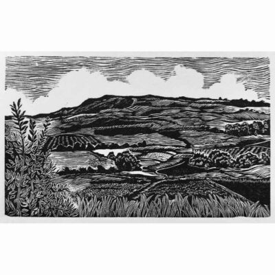 Wood Engraving 'Across the Downs to Devild Dyke' by Lyn May