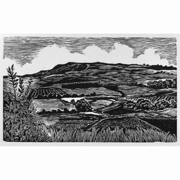 Wood Engraving 'Across the Downs to Devild Dyke' by Lyn May