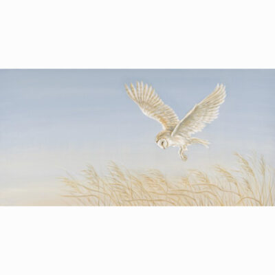 Limited Edition Giclee Print 'Owl and Reeds' by Bella Bigsby