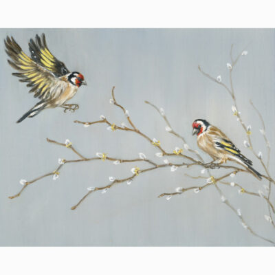 Limited Edition Giclee Print 'Goldfinch Pair' by Bella Bigsby