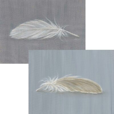 Oil on canvas paintings 'Little Feather' & 'Small Brown Feather' by Bella Bigsby