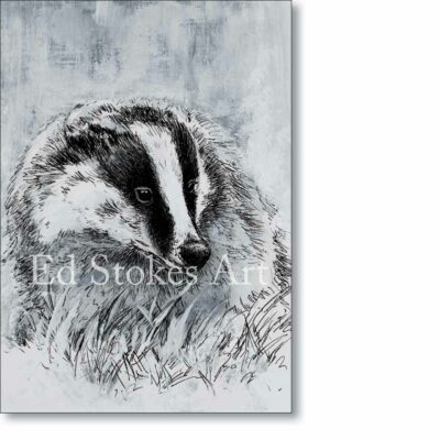 Greetings card 'European Badger' by Ed Stokes