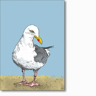 Greetings card 'Herring Gull' by Ed Stokes