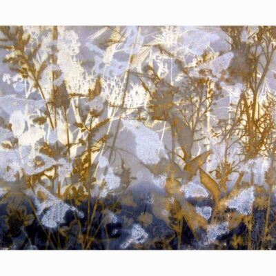 Solar & Linocut print of 'June Flutter' by Diana Ashdown