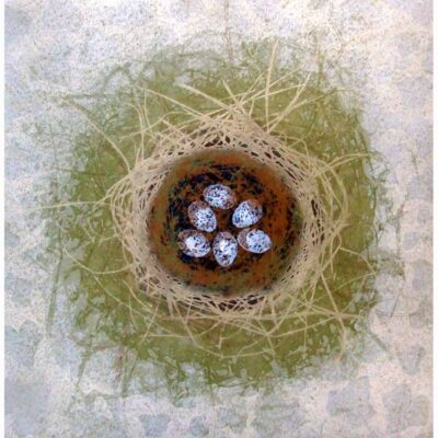 Solar & Linocut print of 'Robin Nest' by Diana Ashdown