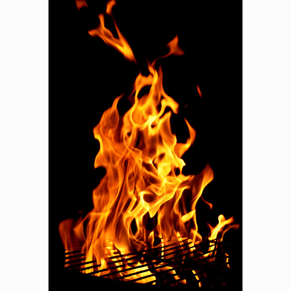 Photograph entitled 'bois d'olivier 2' by Han Lee de Boer