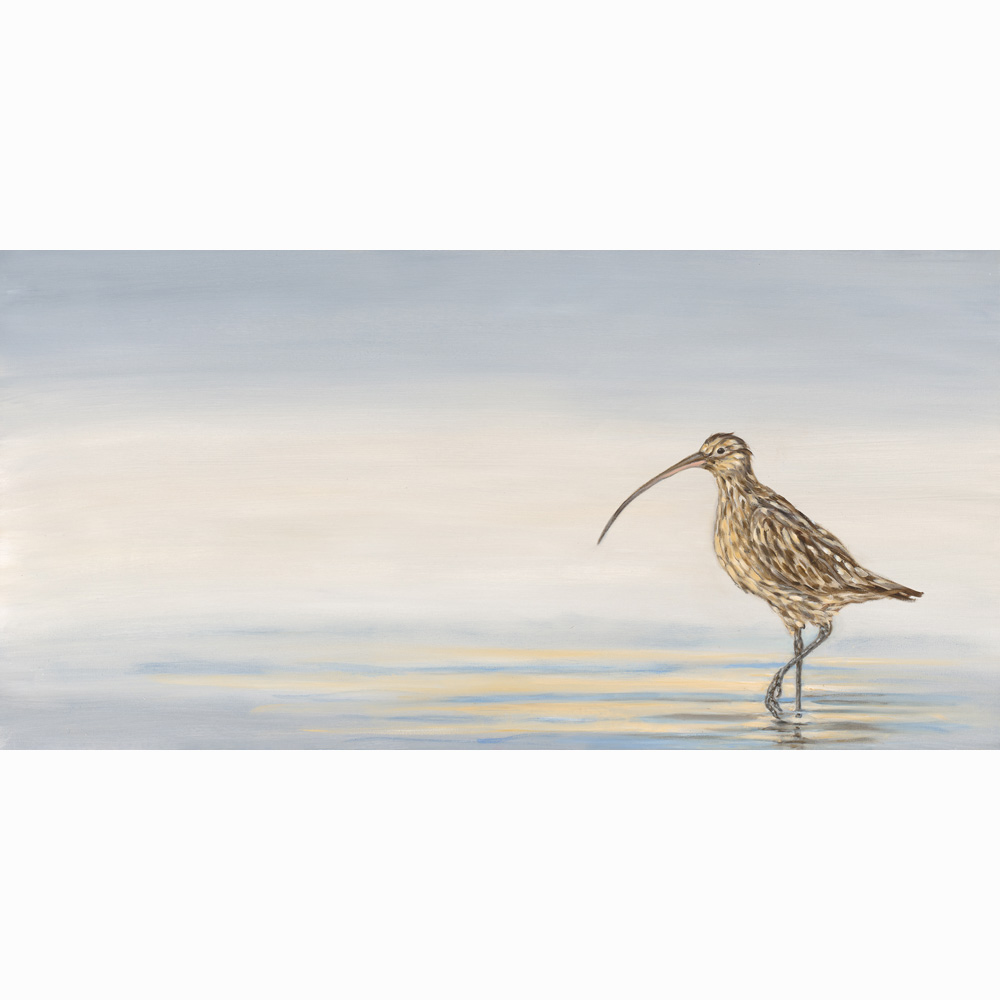 Limited Edition Giclee Print 'Curlew' by Bella Bigsby
