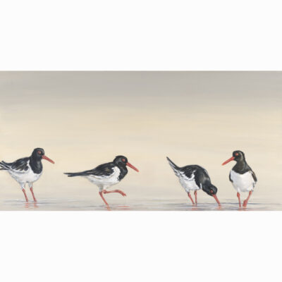 Limited Edition Giclee Print 'Oystercatchers' by Bella Bigsby