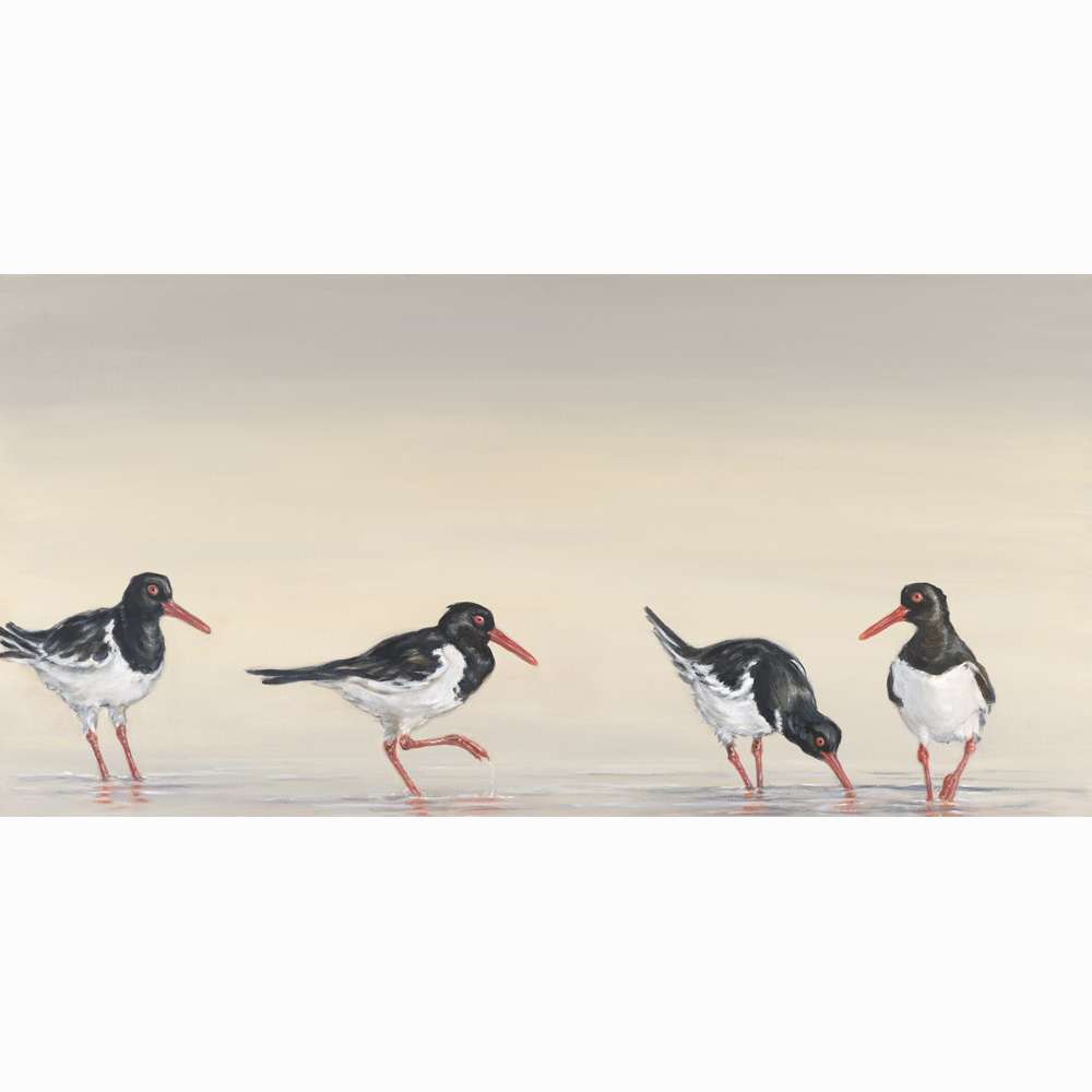 Limited Edition Giclee Print 'Oystercatchers' by Bella Bigsby